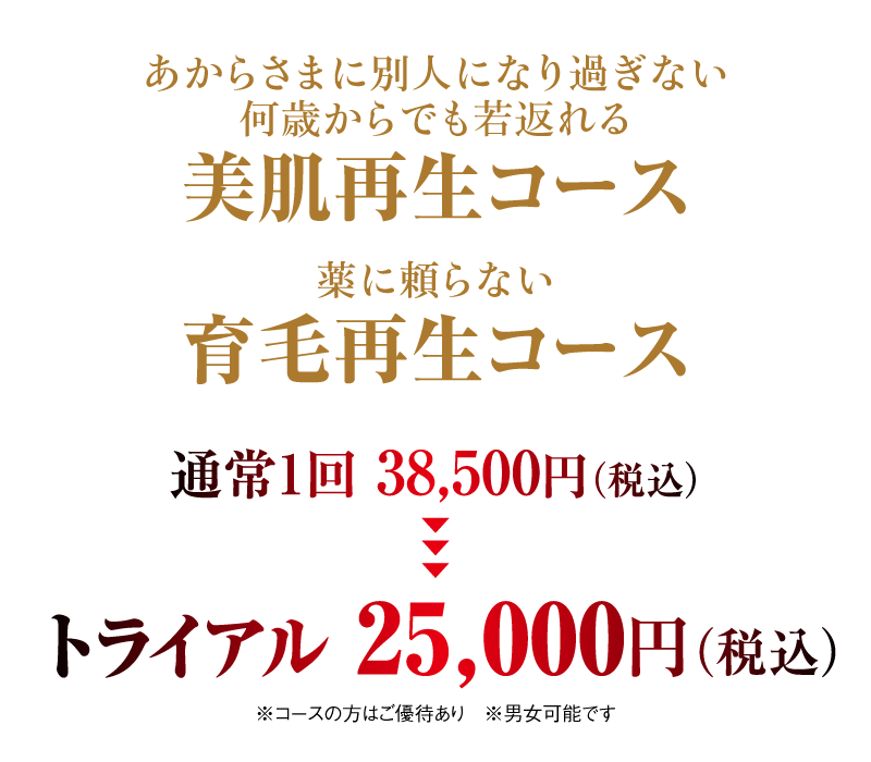 トライアル25,000円（税込）